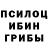 Псилоцибиновые грибы GOLDEN TEACHER Padshui Angel
