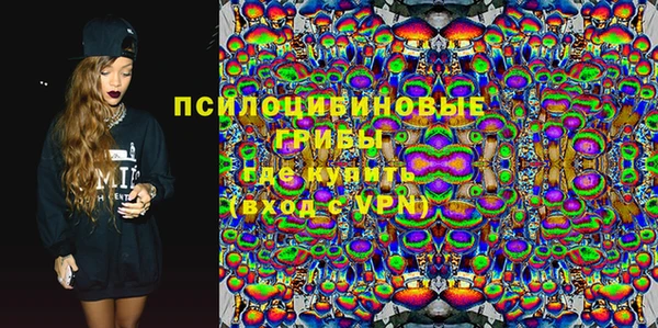 мдпв Пересвет