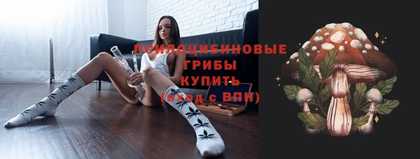 мдпв Пересвет