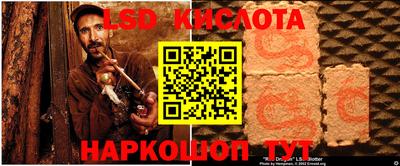 спайс Берёзовский
