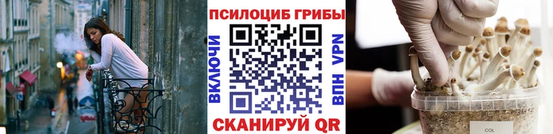 Галлюциногенные грибы Psilocybe  сколько стоит  Верхняя Салда 