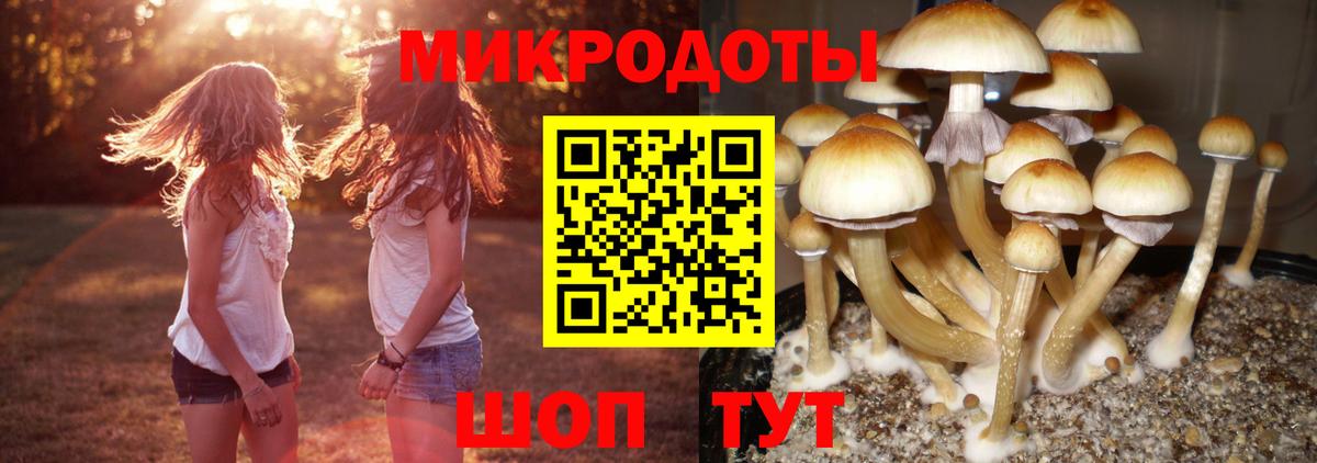 Галлюциногенные грибы Cubensis  Вход с VPN  наркота  Верхняя Салда 